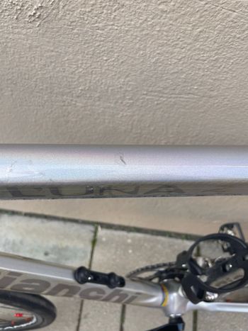Used Bianchi Luna Campagnolo Veloce 2002 Road & Gravel, Light Gray — image 16 of 17