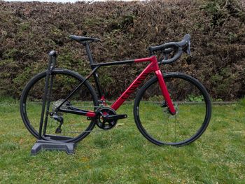 Canyon, Ultimate CF SL 7 2024