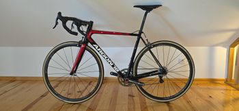 Used Argon 18 Gallium Campagnolo SuperRecord EPS 2014 Road & Gravel, Red — image 2 of 10