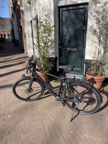 Canyon, Commuter 6 2024