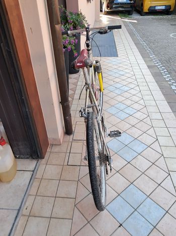 Used Virado Virado Custom Shimano Dura Ace 2002 Mountainbike — image 11 of 13