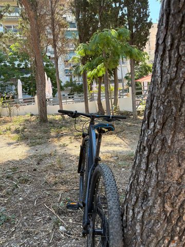 Used CUBE REACTION Pro 2019 2019 Mountainbike, Black, 27.5, 29 — image 115 of 165