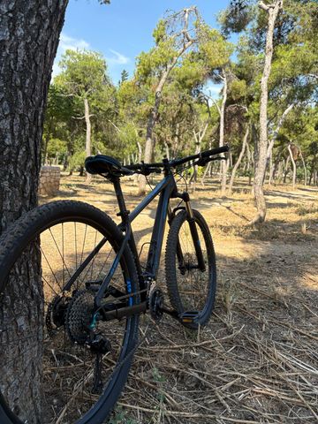 Used CUBE REACTION Pro 2019 2019 Mountainbike, Black, 27.5, 29 — image 147 of 165