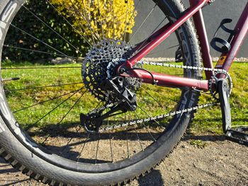 Used Canyon Stoic 3 2024 2024 Mountainbike, Red, 27.5, 29 — image 5 of 9