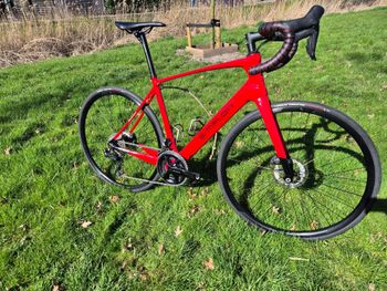 Simplon, Kiaro Shimano Ultegra Di2
