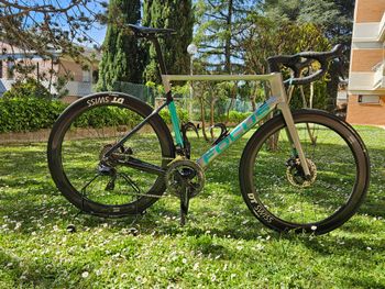 Focus, Focus Izalco Max Disc 9.9 2020