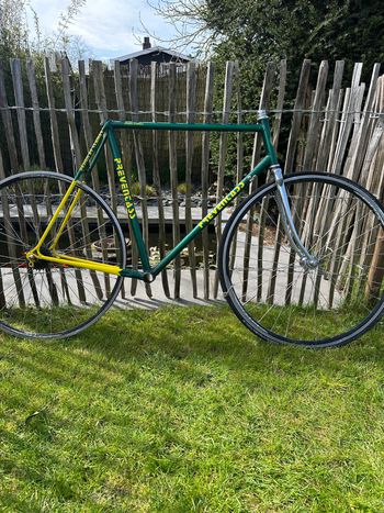 Gazelle, Gazelle Custom Frameset