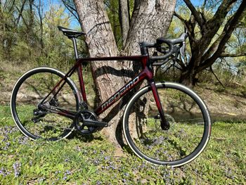 Used Megamo Raise Shimano Ultegra Di2 2023 Road & Gravel