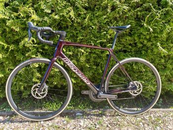 Used Megamo Raise Shimano Ultegra Di2 2023 Road & Gravel — image 2 of 3