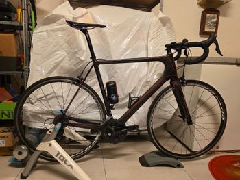 Used Olympia Olympia Custom Shimano 105 2014 Road & Gravel