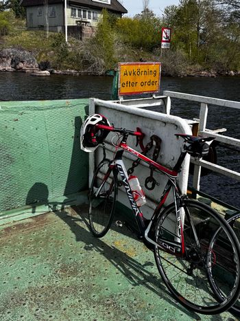 Used Olympia Evo Other Campagnolo 2015 Road & Gravel — image 3 of 3