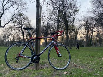 Used Olympia Evo Other Campagnolo 2015 Route & Gravel