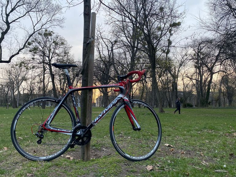 Used Olympia Evo Other Campagnolo 2015 Road & Gravel — image 1 of 3