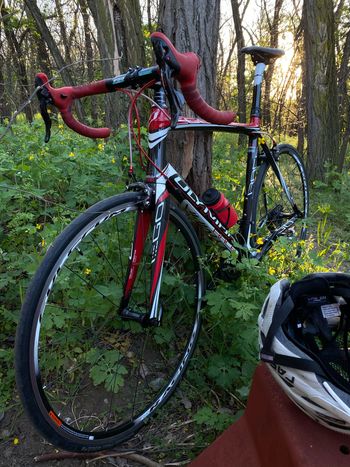 Used Olympia Evo Other Campagnolo 2015 Road & Gravel — image 2 of 3