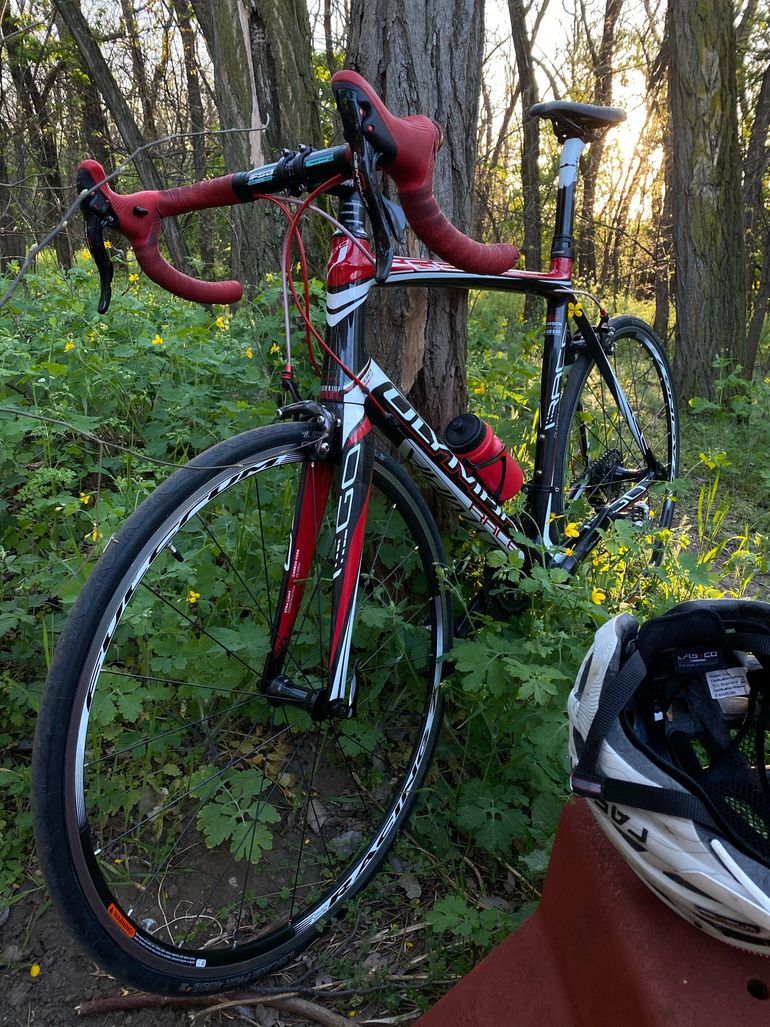 Used Olympia Evo Other Campagnolo 2015 Road & Gravel — image 2 of 3
