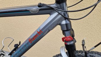 Used Bianchi 9800 MTB 2005  Anniversario 26" 2005 Mountainbike, Light Gray — image 2 of 26