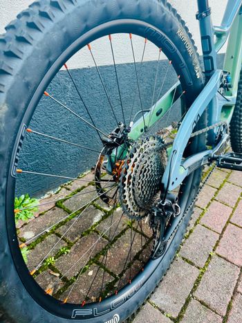 Used Niner RIP 9 RDO 29 4-STAR SHIMANO XT 2023 2023 Mountainbike, Grün, 29 — image 15 of 25