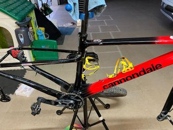 Cannondale, Scalpel HT Carbon 4 2023 Frameset