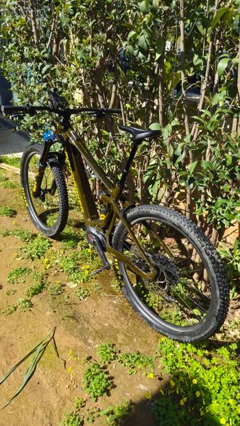 Used Mondraker CRAFTY CARBON XR LTD 2023 2023 Mountainbike, Black, 29 — image 7 of 8