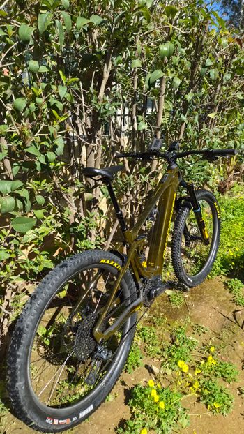Used Mondraker CRAFTY CARBON XR LTD 2023 2023 Mountainbike, Black, 29 — image 3 of 8