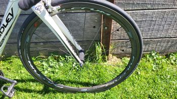 Used Ridley Damocles 2008 Road & Gravel, White — image 6 of 6