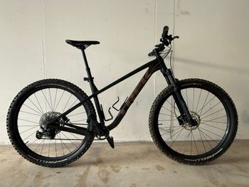 Trek, Roscoe 7 2024