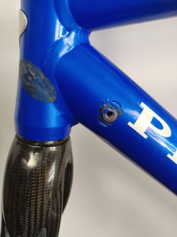 Used Pinarello Dogma Campagnolo Chorus 2006 Road & Gravel, Blue — image 13 of 18