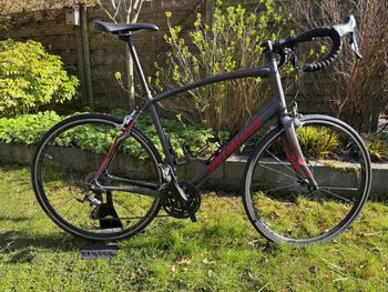 Specialized, Secteur Comp 2014