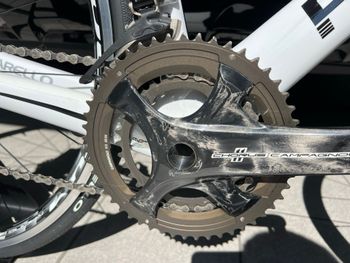 Used Pinarello Marvel Campagnolo Chorus 2015 Road & Gravel, White — image 3 of 15