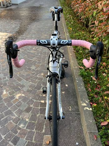 Used Pinarello Marvel Campagnolo Chorus 2015 Road & Gravel, White — image 4 of 15