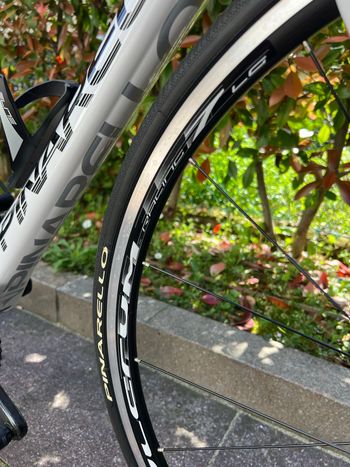 Used Pinarello Marvel Campagnolo Chorus 2015 Road & Gravel, White — image 9 of 15