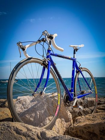 Giant, Cadex Other Shimano