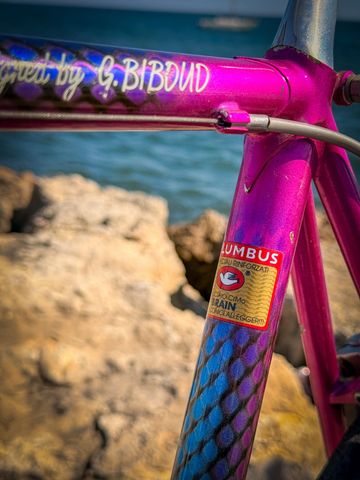 Liberia Custom Other Shimano 1983 Road & Gravel d'occasion — image 3 sur 6