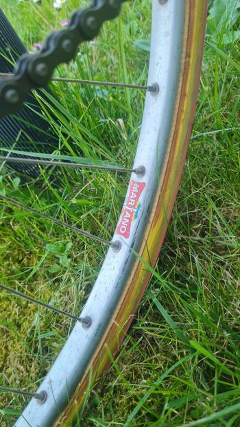 Used ALAN REBELLATO CICLOCROSS STORICA ALAN ALLUMINIO X CICLOCROSS -  1987 1987 Road & Gravel, Schwarz — image 19 of 21