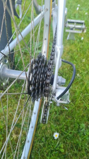 Used ALAN REBELLATO CICLOCROSS STORICA ALAN ALLUMINIO X CICLOCROSS -  1987 1987 Road & Gravel, Schwarz — image 16 of 21