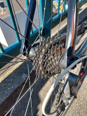 Used Koga Kimera Shimano Tiagra 2010 Road & Gravel, Black — image 4 of 14