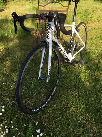Used Giant Tcr Other Shimano 2012 Road & Gravel, White — image 4 of 11
