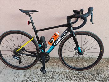 Wilier, GARDA SHIMANO ULTEGRA R8000 2023