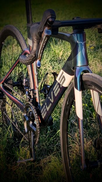 Elves, Falath Shimano Dura Ace