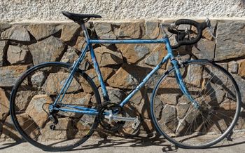 DBS, DBS Custom Other Shimano