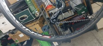 Used Giant OCR Shimano Tiagra 2006 Road & Gravel, Black — image 10 of 11