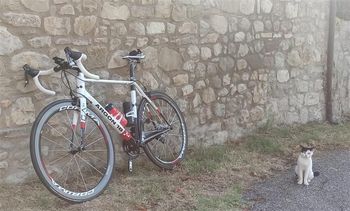 Used Argon 18 Gallium Pro 2010 2010 Road & Gravel — image 2 of 3
