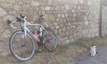 Brugt Argon 18 Gallium Pro 2010 2010 Road & Gravel — billede 2 af 3