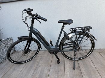 Gazelle, Arroyo C5 HMB Elite Low-Step 2022