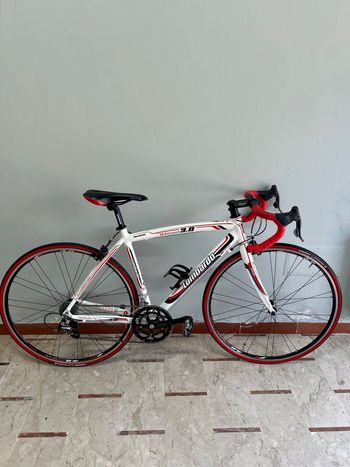 Used LOMBARDO LOMBARDO Custom Campagnolo Veloce 2014 Road & Gravel