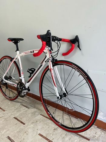 Used LOMBARDO LOMBARDO Custom Campagnolo Veloce 2014 Road & Gravel, White — image 3 of 6