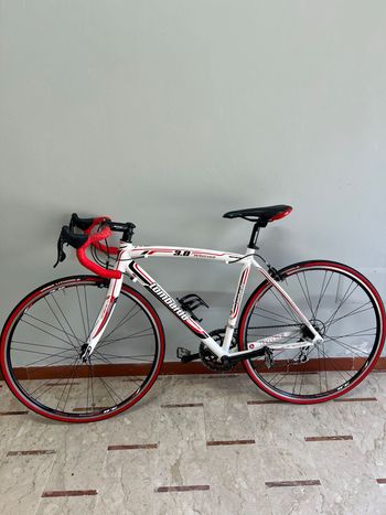 Used LOMBARDO LOMBARDO Custom Campagnolo Veloce 2014 Road & Gravel, White — image 6 of 6