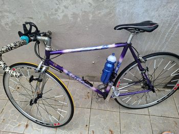 Gitane, Gitane Custom Other