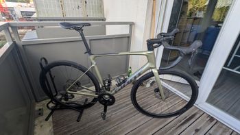 Giant, Defy Advanced 2 2024