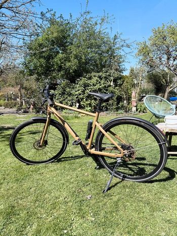 Rabeneick, RABENEICK TX7 Trekkingbike Riemenantrieb Alfine